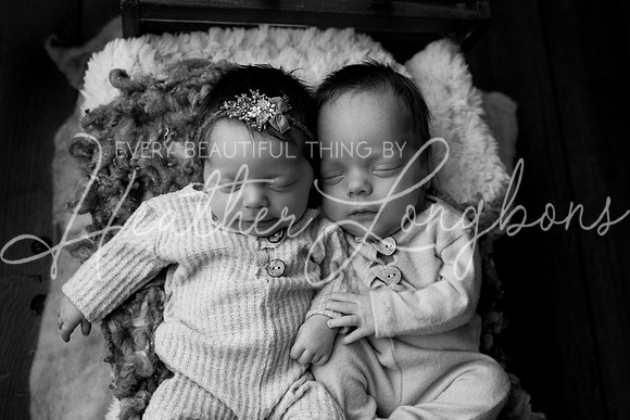 Taylor twins newborn session-26BW