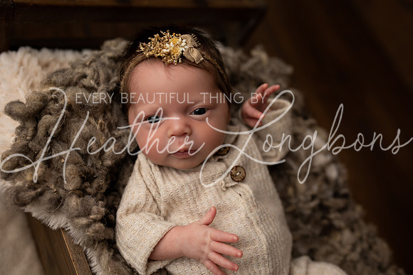Taylor twins newborn session-27