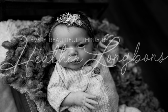 Taylor twins newborn session-27BW