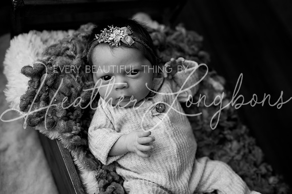 Taylor twins newborn session-28BW