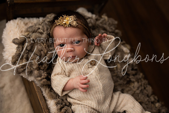 Taylor twins newborn session-28
