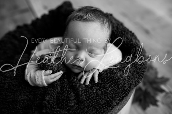 Taylor twins newborn session-29BW