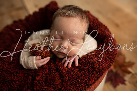 Taylor twins newborn session-29