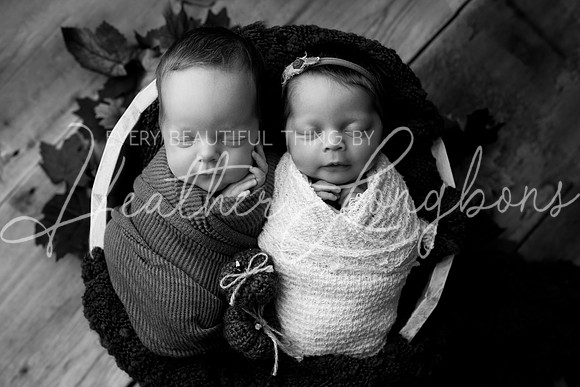 Taylor twins newborn session-31BW