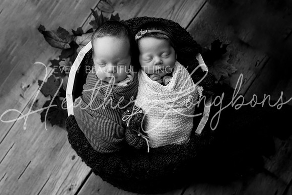 Taylor twins newborn session-30BW
