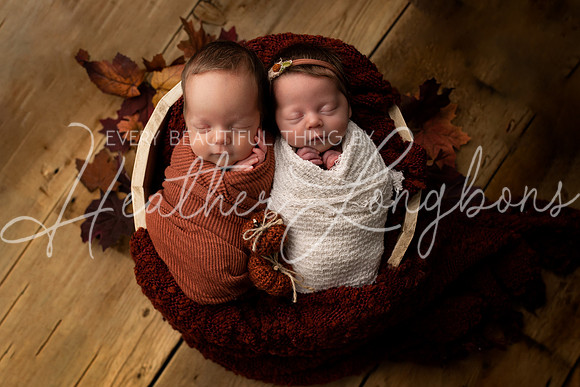 Taylor twins newborn session-30
