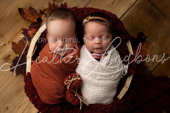 Taylor twins newborn session-31