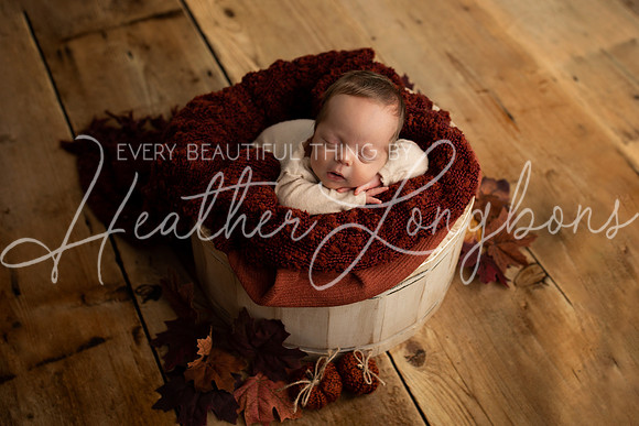 Taylor twins newborn session-36