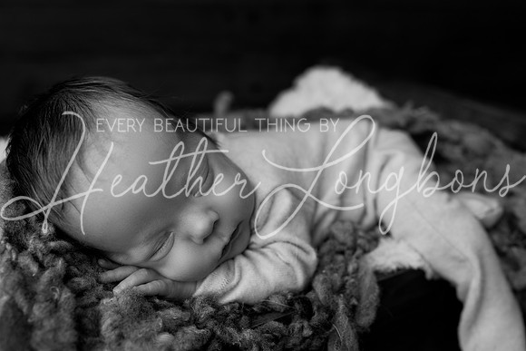 Taylor twins newborn session-24BW