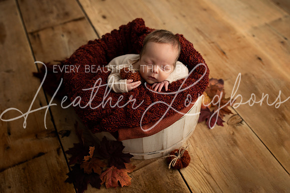 Taylor twins newborn session-37