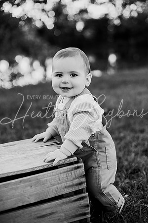 Brooks One Year-82BW