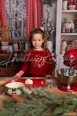 Christmas Minis Holley-1
