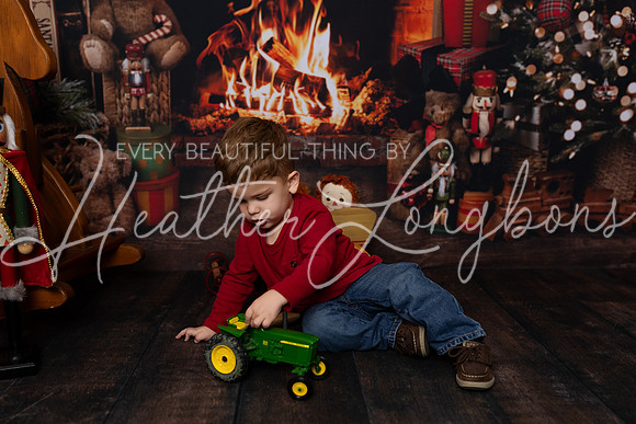 Christmas Minis Horrall-22