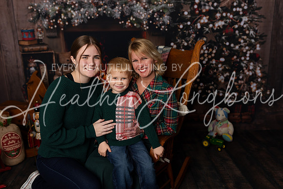 Christmas Minis McGarvey-17