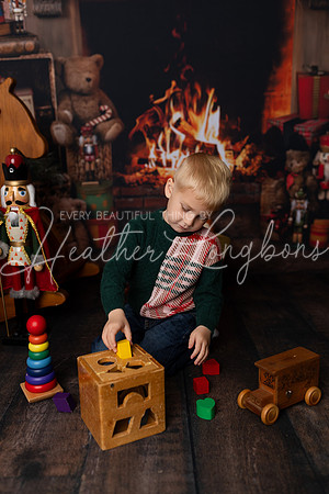 Christmas Minis McGarvey-29