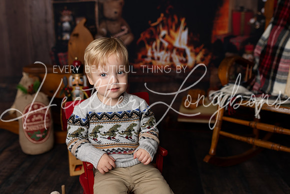 Christmas Minis Taylor-14