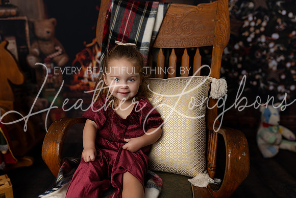 Christmas Minis Taylor-22