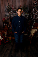 Christmas Minis Short-10