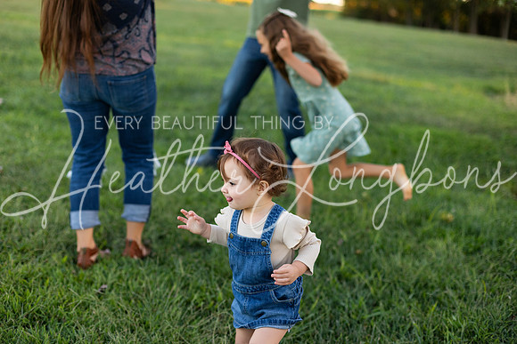 Sunset Wolfe family-83