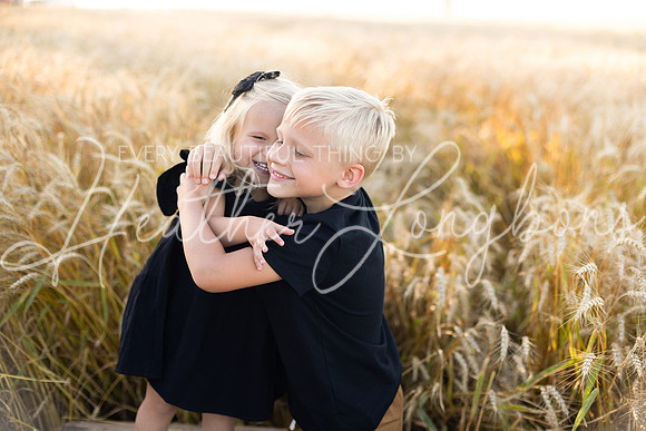 Wheat field Speirs-3