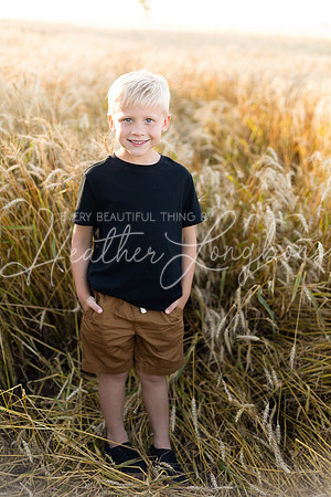 Wheat field Speirs-20