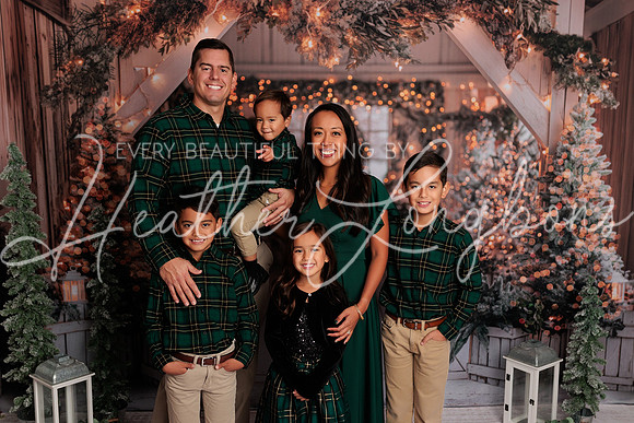 2024 Christmas McDaniel-8