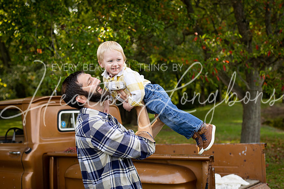 Wheat Fall Truck-4