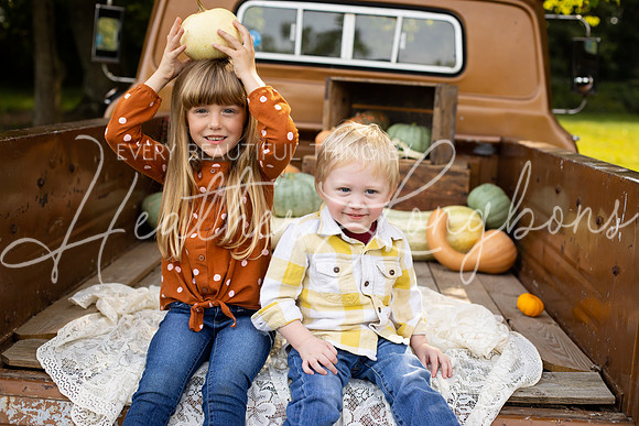 Wheat Fall Truck-17