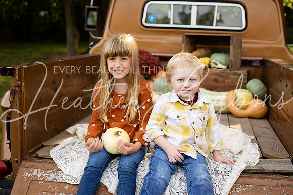 Wheat Fall Truck-18