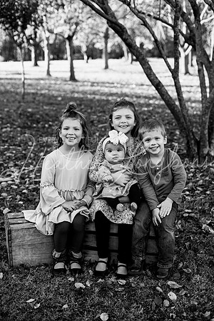 Longbons family 2024-5BW