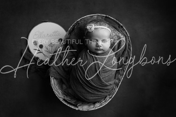Ellaretta newborn-26BW