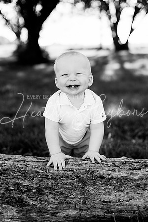 Maddux One Year-3BW