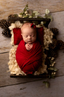 Georgia Cheadle Newborn-4