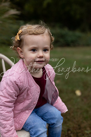 Roosevelt Fall Minis-15