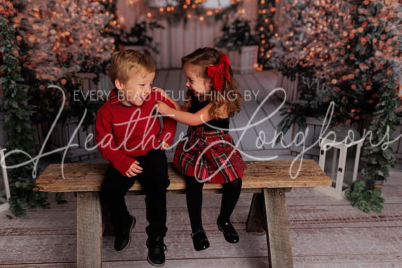 Christmas 2024 Taylors-4