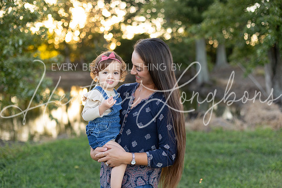 Sunset Wolfe family-41