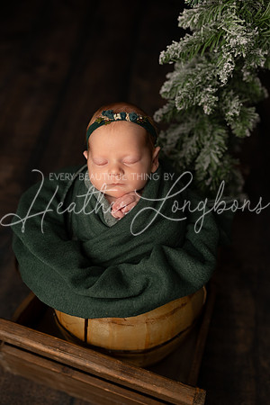Alora Clow Newborn-15