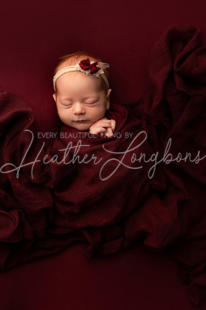 Alora Clow Newborn-1