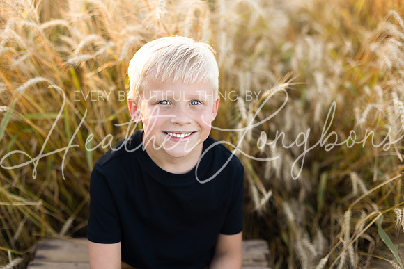 Wheat field Speirs-19