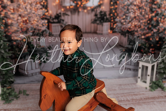 2024 Christmas McDaniel-11