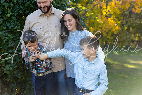 Tree Farm Jessica Deisher-4