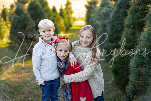 Tree Farm Gifford-10