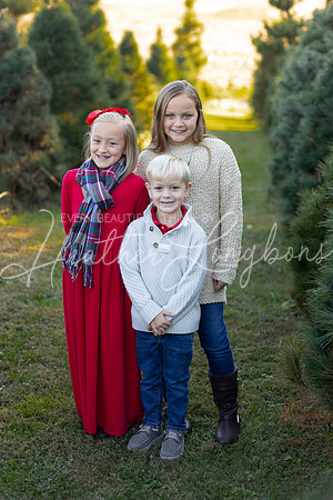 Tree Farm Gifford-12