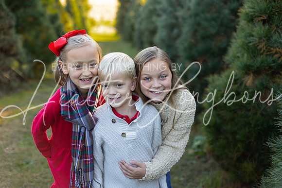 Tree Farm Gifford-13
