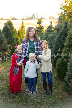 Tree Farm Gifford-15