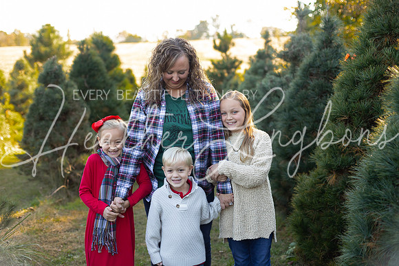 Tree Farm Gifford-16