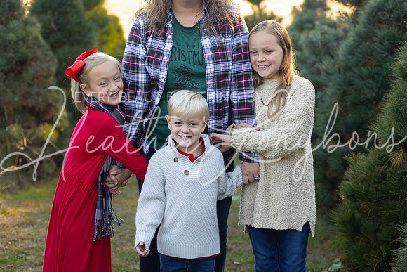 Tree Farm Gifford-17