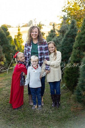 Tree Farm Gifford-18
