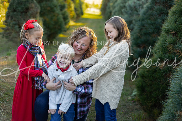 Tree Farm Gifford-19