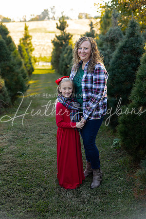 Tree Farm Gifford-25